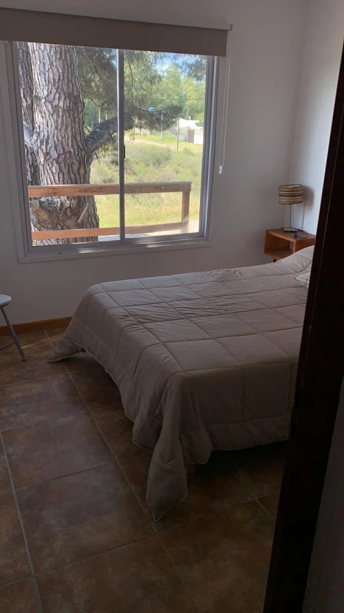 Imagen de El solar del Sauce dto