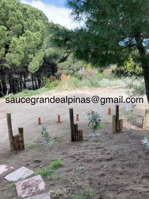 Imagen de Alpinas Sauce Grande