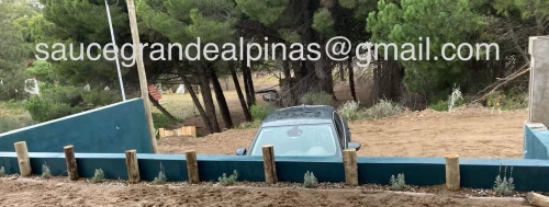 Imagen de Alpinas Sauce Grande